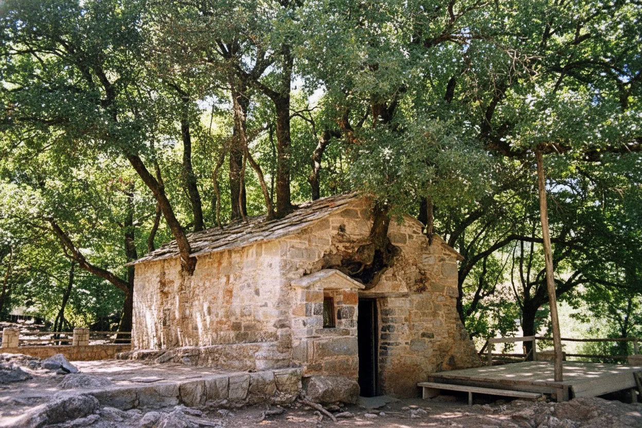 The Chapel of Agia Theodora with 17 large trees growing from its roof, nestled in a lush Greek valley.