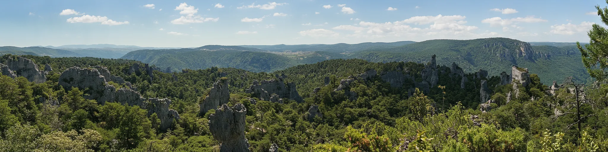 A wide shot of the Chaos de Montpellier-le-Vieux showing the expansive landscape of unique rock formations under a clear sky.