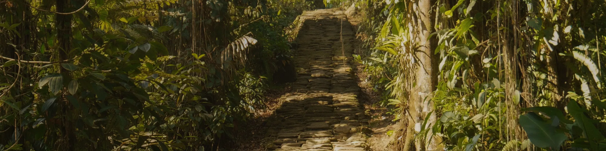 Indigenous Wiwa guide leading trekkers through the rainforest path