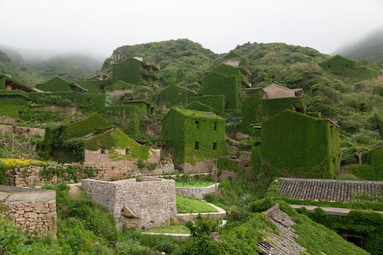 Vibrant green ivy completely covering an old stone house in Houtouwan Village, with a narrow path in the foreground.