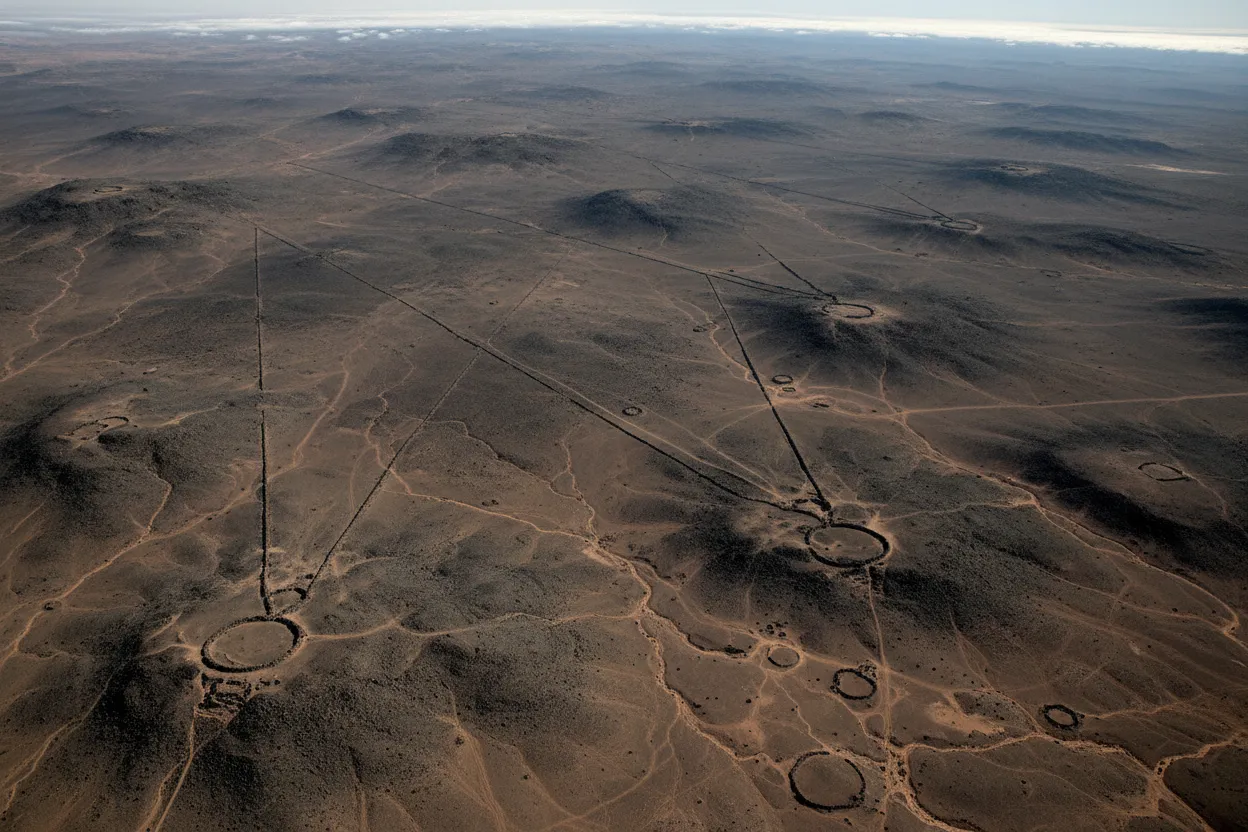 Expansive view of Jordan's Eastern Desert with a distant mountain range under a clear sky, showing the vastness and desolation of the basalt landscape.
