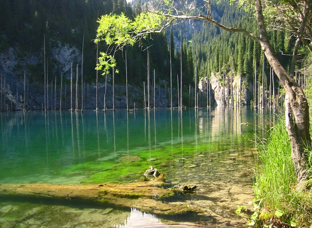 Ethereal view of Kaindy Lake with submerged spruce tree trunks breaking the turquoise water surface, surrounded by mountains.