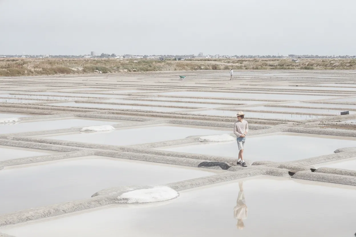 Close-up of a paludier's hands carefully skimming Fleur de Sel from the surface of a salt pan in Guérande.