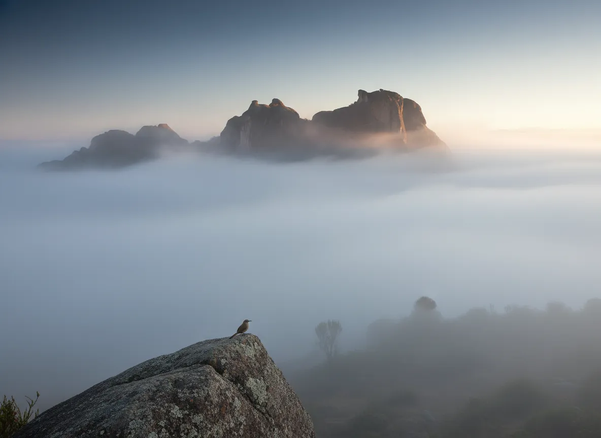 A hiker standing on a rocky outcrop overlooking the vast Marcahuasi plateau with scattered rock formations under a clear blue sky.