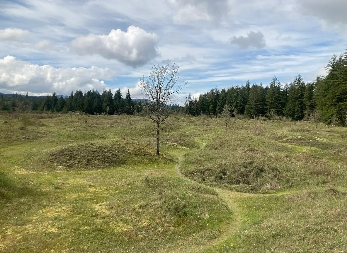 A paved walking trail winding through the Mima Mounds, with oak trees and wildflowers in the background.