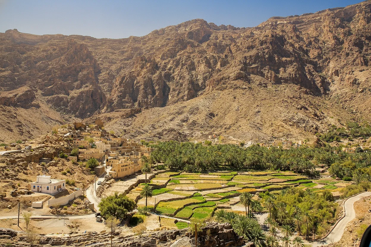 Intricate falaj irrigation channels winding through lush date palm plantations in Misfat al Abriyeen, Oman.