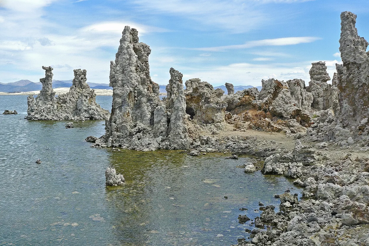 Close-up view of intricate, calcified tufa towers rising from Mono Lake at sunset, with golden light reflecting off the water.