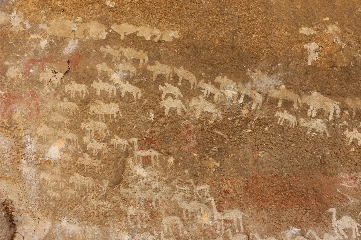 Close-up of rock-cut tombs at Qohaito, showing intricate carvings and the surrounding sandstone cliffs.
