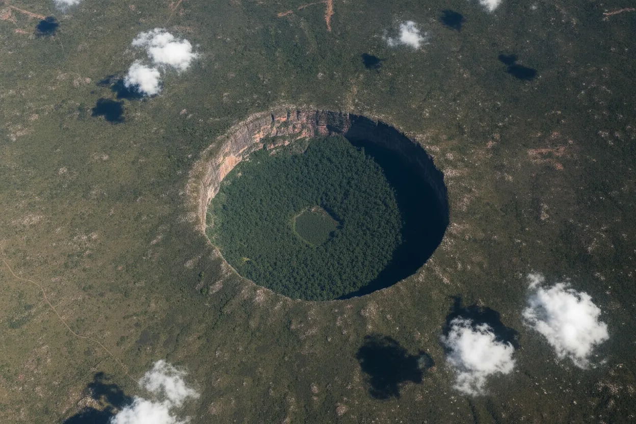 Lush, untouched forest floor at the bottom of a Sarisariñama sinkhole, showcasing unique plant species.