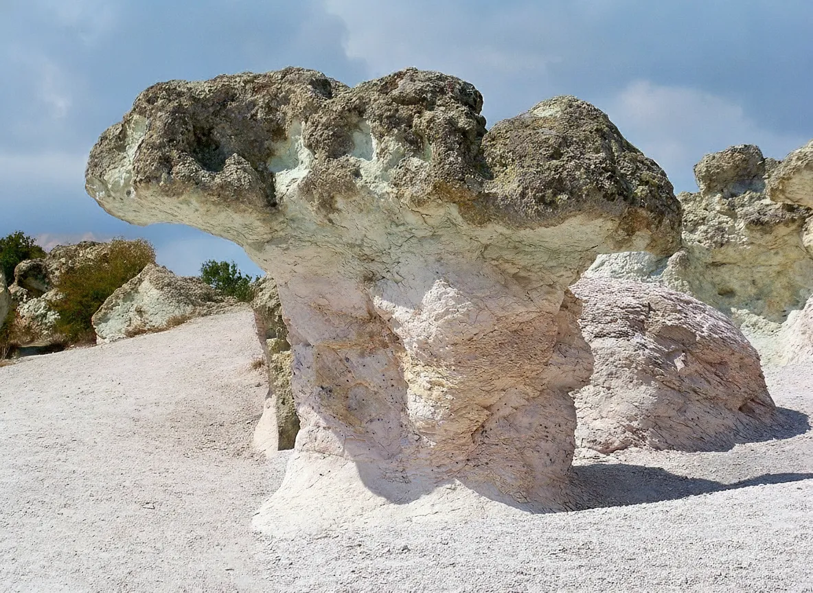 A close-up shot of the base of one of the Stone Mushrooms, highlighting its pinkish hue and eroded textures.