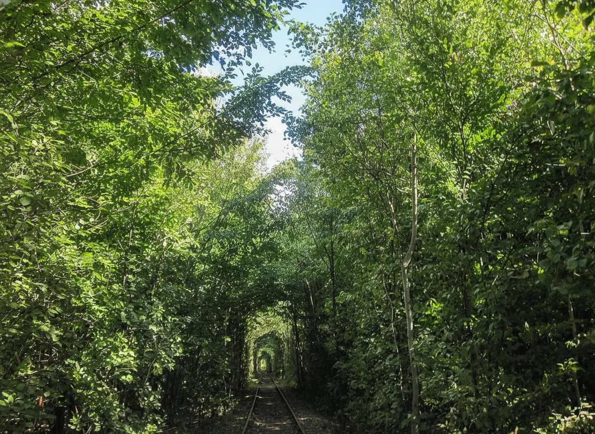 A couple holding hands, walking through the lush green Tunnel of Love in Ukraine, with sunlight dappling through the leaves.