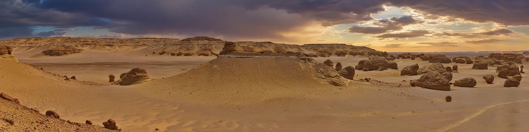 Imagine a desert graveyard where hundreds of gigantic, fully articulated whale skeletons lie scattered, telling an impossible story of evolution and forgotten seas.