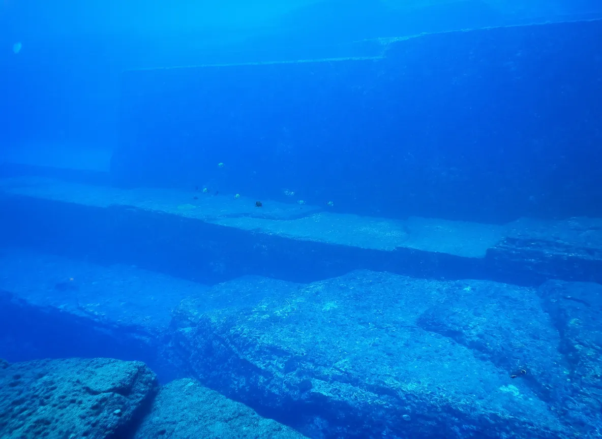 Diver swimming next to a massive, perfectly straight underwater wall at the Yonaguni Monument