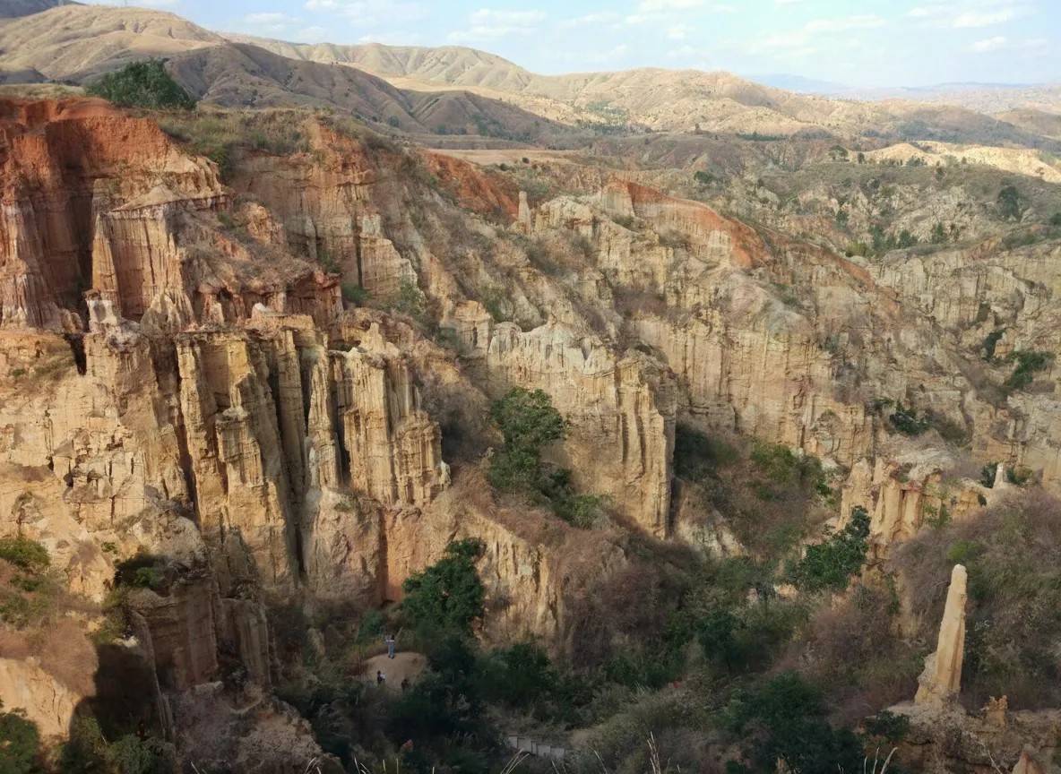 Panoramic view of the Yuanmou Earth Forest at sunset, showing countless towering earthen pillars in warm golden light.